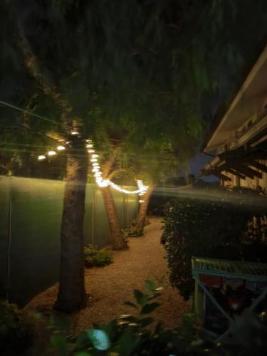 Un jardín fuera de La Lestra