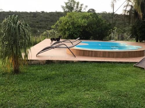 a cat sitting on a sculpture next to a swimming pool at Fazenda Dona Netinha Corumbá IV MDPF in Luziânia