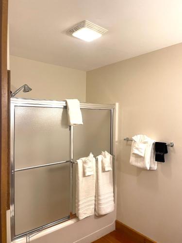 a bathroom with a shower stall with towels at Riverboat Suites in Galena
