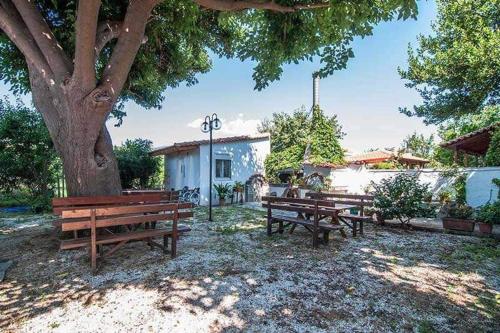 a group of benches sitting under a tree at Apartments Xara in Velika