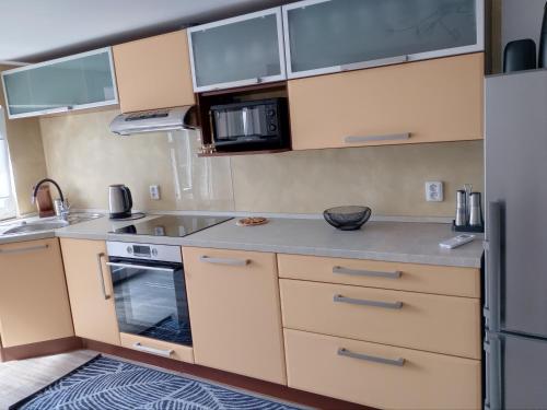Apartmán Marieにあるキッチンまたは簡易キッチン