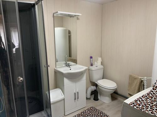 ein Bad mit einem WC, einem Waschbecken und einer Dusche in der Unterkunft Appartement cœur de maurienne 2 in Saint-Étienne-de-Cuines