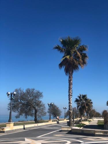 a palm tree on the side of a road at Villa Aurora in Mandatoriccio Marina