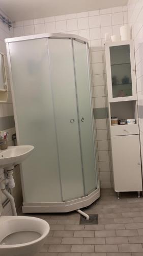 a bathroom with a shower and a sink and a toilet at Room with double Bed not all apartment in Malmö