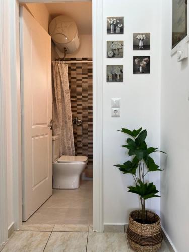 a bathroom with a toilet and a plant at Porfyra Apartment Portoheli in Porto Heli