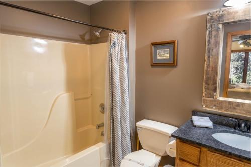 Un baño con inodoro, lavabo y ducha. en Creekside at Yonahlossee, en Blowing Rock