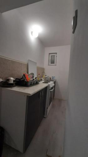 Gallery image of Apartman TATTOO R LUX in Negotin