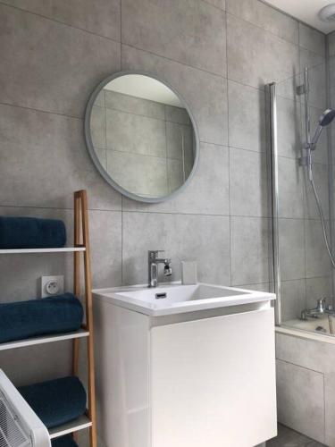 een badkamer met een wastafel en een spiegel bij Maison indépendante avec jardin in Le Mans