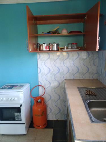 uma cozinha com fogão forno ao lado de um lavatório em 3Dee Apartment, Secure with Unlimited Wifi em Kisumu