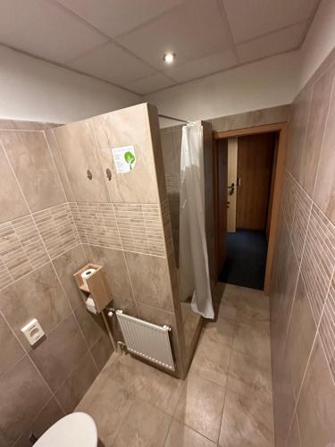 a bathroom with a shower and a toilet in it at Penzión Michaela Vyhne in Vyhne