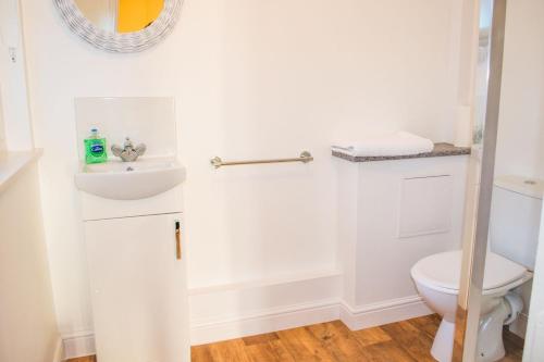 a bathroom with a toilet and a sink at Rosary Road Apartment in Norwich