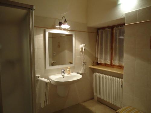 a bathroom with a sink and a mirror at Agritur Masi Brenta in Rovereto