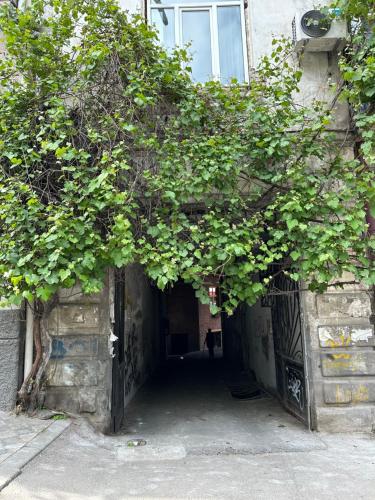 an entrance to a building with a tunnel with plants at Salalak in Tbilisi City