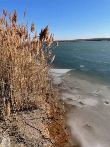 a view of a body of water with tall grass at Ferienhaus Oskar 100m Entfernung zum See/Strand in Löbnitz