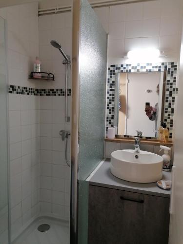 une salle de bain avec un lavabo et une douche dans l'établissement Le p'tit appart, à Sarlat-la-Canéda