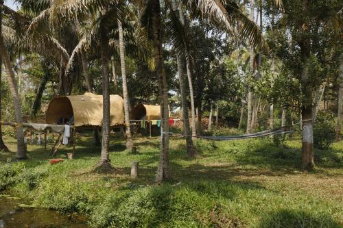 une tente au milieu d'une forêt de palmiers dans l'établissement The Temple Tree Varkala, à Varkala