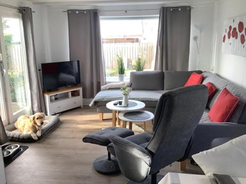 una sala de estar con un perro en el sofá en Ferienhaus Meise, en Wervershoof