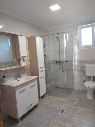 a bathroom with a shower and a sink and a toilet at Apartman Halilčević in Dubrave Gornje