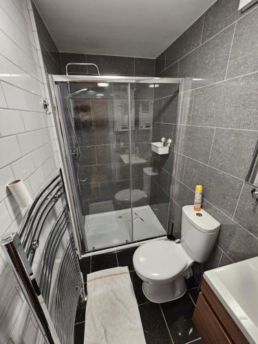 a bathroom with a shower and a toilet and a sink at Entire 2 bed Flat Ela Rosa fully serviced in Elmers End