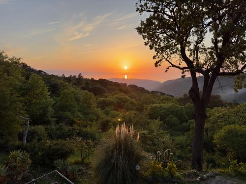 een zonsondergang in de bergen met een boom en struiken bij Cefalù Forest Hideout in Cefalù