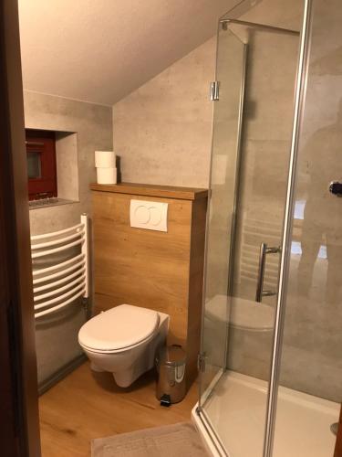 a bathroom with a toilet and a glass shower at Privat Beata in Hrabušice