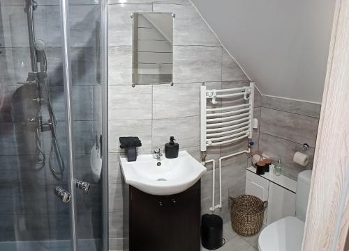 uma casa de banho com um lavatório e um chuveiro em Apartament na Glinkach 22 em Augustów