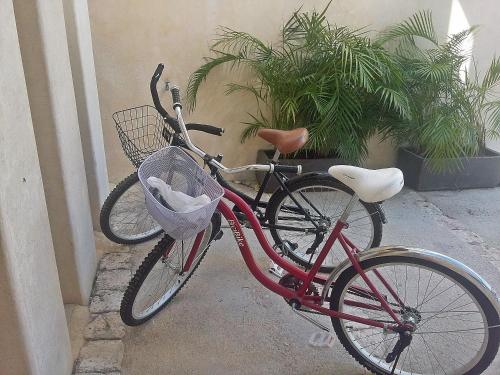 a red bike parked next to a wall with plants at Maya Vacanze Playa Natural in Playa del Carmen