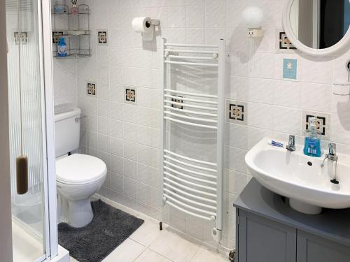 a bathroom with a shower and a toilet and a sink at Cloverleaf in Saltfleetby Saint Clement