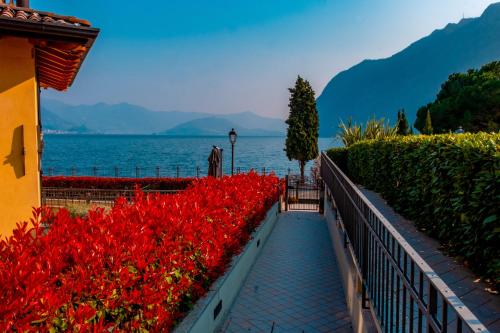 a walkway with red flowers in front of the water at Happy Guest Apartments - Lake & Relax in Riva di Solto
