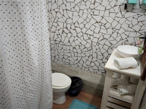 a bathroom with a toilet and a shower curtain at Pinzon P&G in Buenos Aires