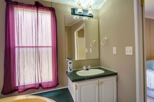 een badkamer met een wastafel en een spiegel bij Tennessee Vacation Rental about 2 Mi to Windrock Park! in Oak Ridge