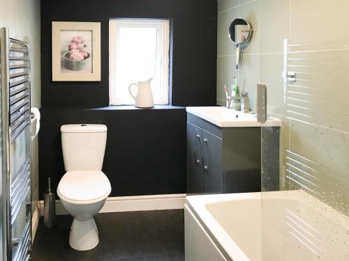 a bathroom with a white toilet and a sink at Kittys Cottage in Girvan