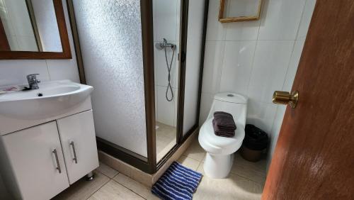 a bathroom with a shower and a toilet and a sink at Cabañas Manuto in Hanga Roa