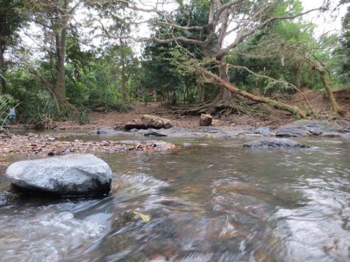 Landskap semula jadi dekat dengan rumah percutian