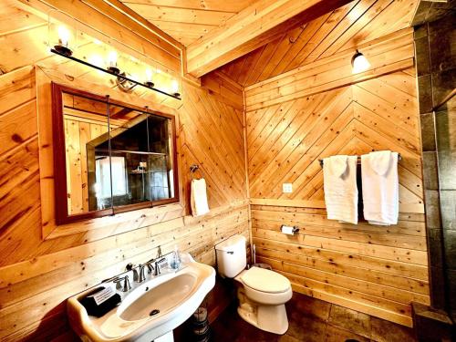 La salle de bains en bois est pourvue d'un lavabo et de toilettes. dans l'établissement Backwoods Bonanza - Big Cabin With Hot Tub!, à Duck Creek Village