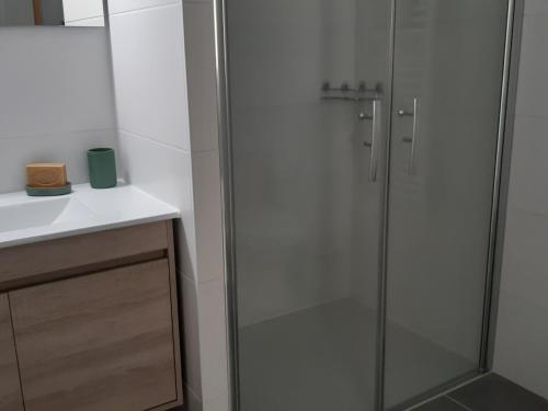 une salle de bain avec une douche en verre et un lavabo dans l'établissement Superbe T2 climatisé - 4P - Secteur Port - WIFI - PKG - FR-1-727-9, à Port-Leucate