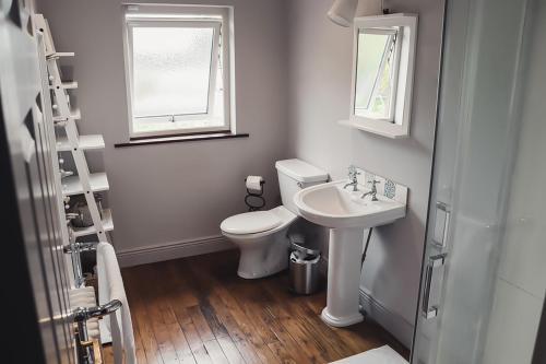 uma casa de banho com um WC e um lavatório em Phoenix House em Dublin