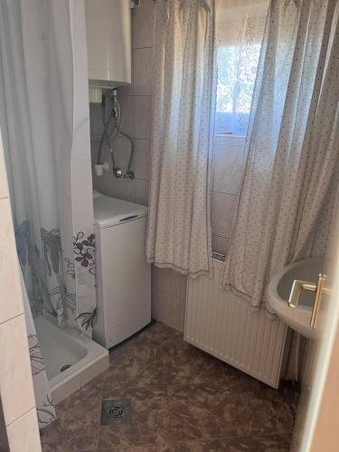 a bathroom with a sink and a toilet and a shower at Hárpia Fészek in Pécsvárad