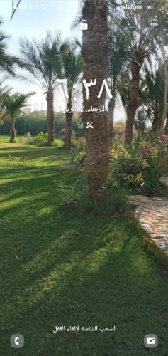 تونسي – Photos 4
