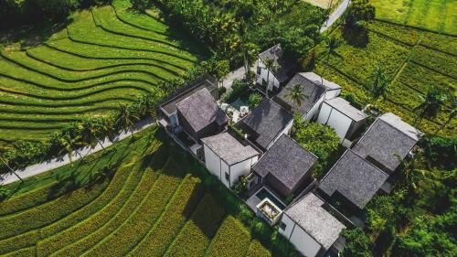 an aerial view of a house in a field at The Saren in Tanah Lot