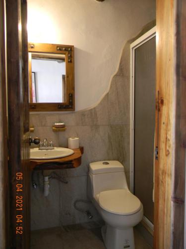 a bathroom with a toilet and a sink and a mirror at La Troje de Adobe in Creel