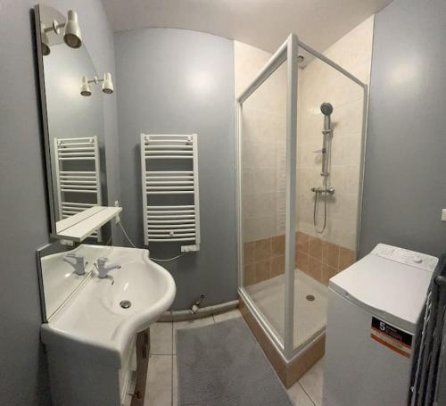 une salle de bain avec un lavabo blanc et une douche dans l'établissement Appartement 1 chambre rue Faubourg de Besançon, à Montbéliard