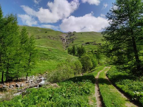 un chemin à travers les collines avec une rivière dans l'établissement Les Hauts du Roux, à Abriès