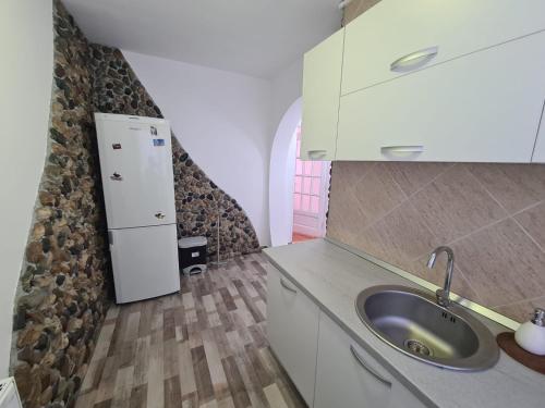 a kitchen with a sink and a refrigerator at Central Apartment Targu Mures - Best view in town in Târgu-Mureş