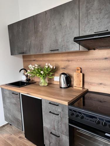Cuisine ou kitchenette dans l'établissement Apartmán Rozárie