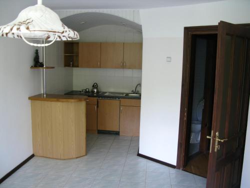 Kuchyň nebo kuchyňský kout v ubytování Motel Poltava