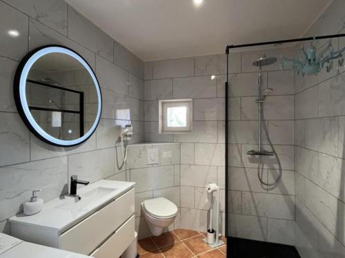 a bathroom with a shower and a sink and a mirror at Domaine de Bisseret : Gîte pour golf et détente au cœur de la France - FR-1-489-438 in Lavault-Sainte-Anne