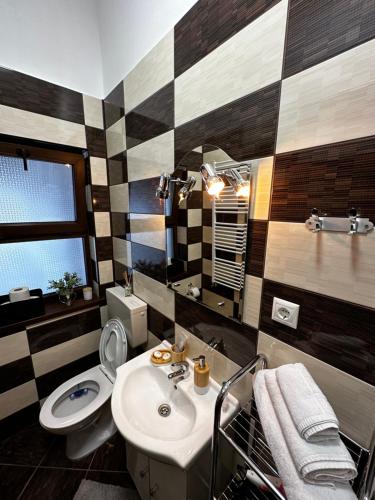 a bathroom with a sink and a toilet at Borkum in Sibiu