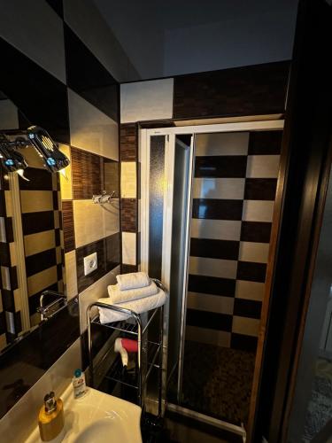 a bathroom with a sink and a shower at Borkum in Sibiu