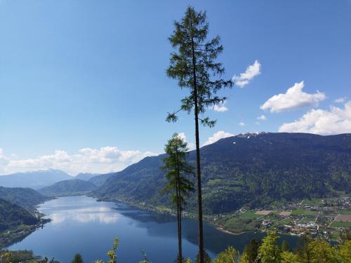 a view of a lake with two tall trees at MOOKI Beach Apartment in Bodensdorf